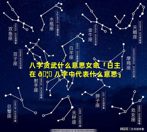 八字贪武什么意思女命「日主在 🦉 八字中代表什么意思」